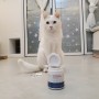 인터발란스 고양이유산균, 코숏 면역력 알레르기 장 건강까지!