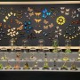 (곤충공예) 나비 표본을 활용한 다양한 작품~디오라마 작품