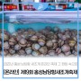 [온라인]2022 제19회 홍성남당항새조개축제 그 현장 속으로~