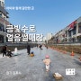 [아빠의 수첩] 김포 아이와 가볼만한 곳, 금빛수로 얼음썰매장(in 김포라베니체, 무료)
