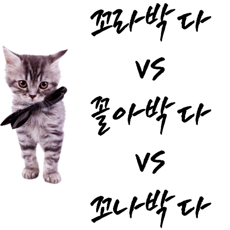 '꼬라박다', '꼴아박다', '꼬나박다' 중 맞는 것은? : 네이버 블로그