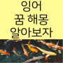 잉어 꿈 검은 죽은 비단 잡는 큰 황금 놓치는 꿈의 해몽?