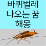 바퀴벌레 죽이는 꿈 잡는 나오는 날아다니는 큰 물리는 약뿌리는 쫓아오는 도망가는 꿈의 의미