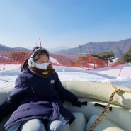 겨울 여행지 추천 : 홍천 비발디파크 눈썰매장 스노위랜드 할인 후기