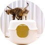 강집사 별과달 스카이 고양이후드형화장실 크다!