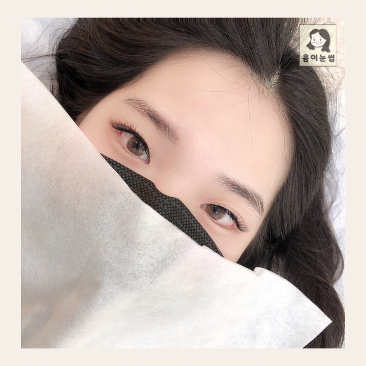 용이눈썹 사진