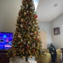 [ 미국 교환학생 D+119-120 ] 플로리다 가정집 생활 / 크리스마스 미국에서 보내기