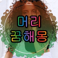 머리꿈 머리를다치는꿈 머리비듬꿈 상황에 따른 정리 요약 ……