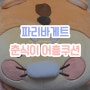 [파리바게트] "내돈내산" 춘식이 어흥 쿠션