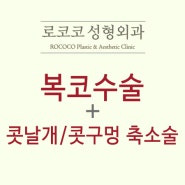 코성형 + 복코교정의 다양한 이야기 : 목차