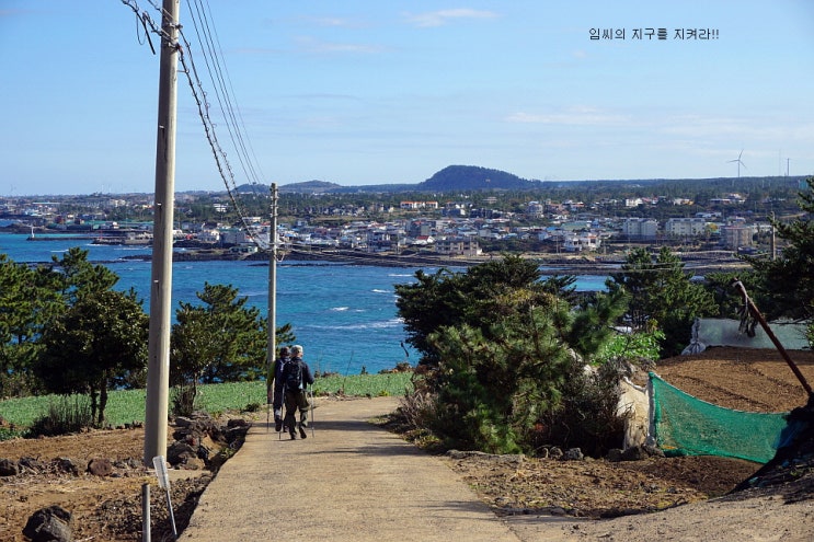 제주도 뚜벅이 여행 제주 올레길 19코스 꼭 가봐야할곳
