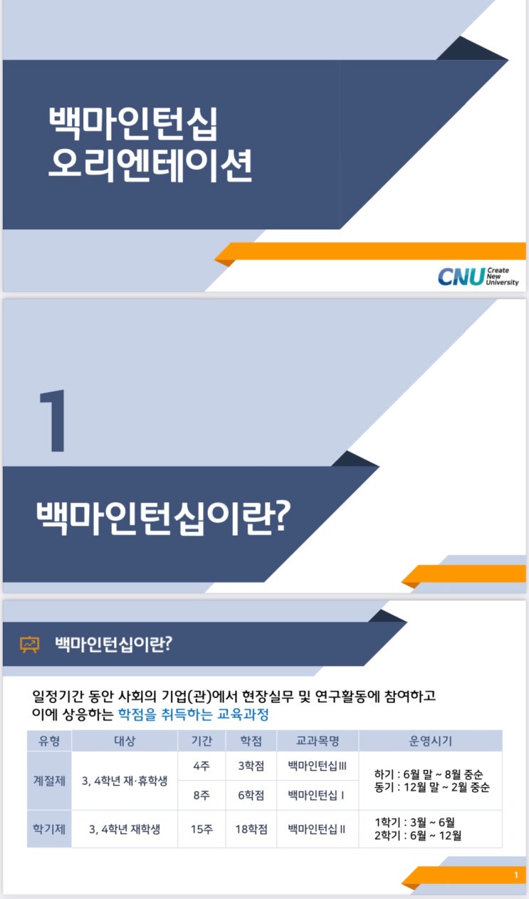 충남대학교 백마인턴십 이수지원서작성 및 코업신청 등 합격 후 과정과 해야할 일 : 네이버 블로그