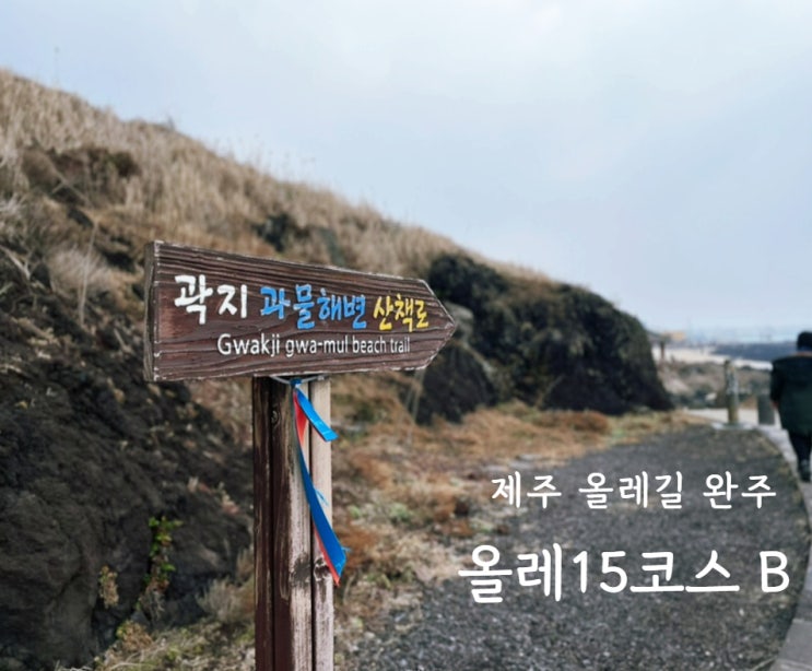 제주 올레길 완주 걷기 쉬운 올레15코스