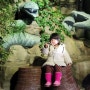[함평 여행] 아이와 함께 오기 좋은 함평 양서파충류생태공원 (도아랑 데이트♥)