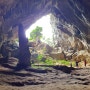 세계에서 가장 큰 동굴을 품은 베트남의 퐁냐케방