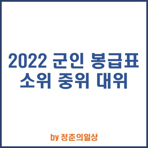 2022년 군인 월급 연봉 소위 중위 대위 장교 계급 실수령액 호봉 급여 : 네이버 블로그