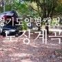 경기도캠핑장 양평 무료 캠핑장 도장계곡 차박가능 쌩 노지