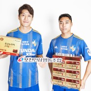 2022시즌 울산현대축구단 홍삼 공식후원사(포천인삼영농조합)