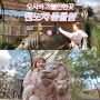 오사카 덴노지 동물원 : 주유패스로 공짜입장
