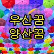 우산꿈 우산쓰는꿈 우산받는꿈 우산사는꿈 양산꿈 양산을잃어버리는꿈