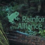 열대우림동맹(Rainforest Alliance)을 아시나요?