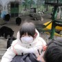 [함평 여행] 반달가슴곰을 함평에서도 볼 수 있다고? 도아랑 함께한 함평 자연생태공원 나들이