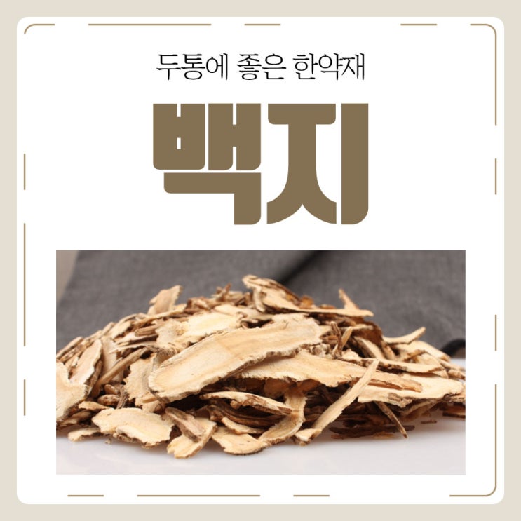 두통에 좋은 대표적인 약재 백지의 효능과 부작용 : 네이버 블로그