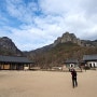 경북 청송 주왕산 주방계곡 지질탐방로 9km