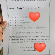 광주 시청 신속항원검사 진행방법 및 자가키트검사법 동영상 보고 가세요 음성확인서 발급도 받고 가기!