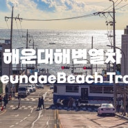 옛 동해남부선 철길따라 해운대에서 송정까지! 해운대해변열차 (미포~송정) 탑승기