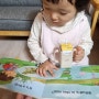 잉글리시에그플랩북 what's in this egg 아이가 좋아하는 영어책