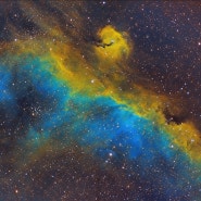 [ IC2177 Seagull nebula ]