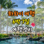 미국 하와이 여행 6박7일 지출 (2인 기준) 밴쿠버 → 호놀룰루 기준!