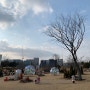 서울 가볼만한곳 아이들과 함께 추운 겨울 실내데이트로 딱 서울식물원