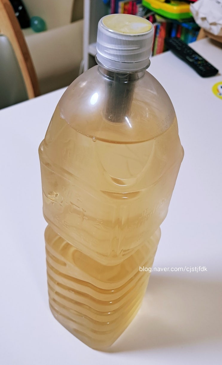 꽂아먹는 차, 보리차(내돈내산 리뷰) 티업 : 네이버 블로그