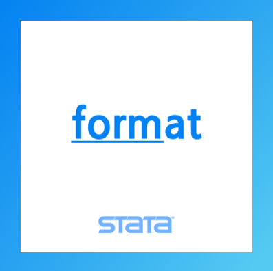 [Stata] format - 변수의 출력형식 설정 명령어 : 네이버 블로그