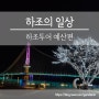 하조의 일상, 설날에 도망친 세남자의 [하조투어 예산편]