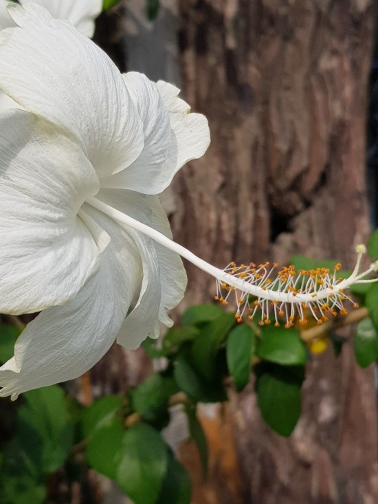 묵자(墨子)-제32편-비악 상(非樂上)-해석-(01)- : 네이버 블로그