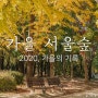 서울숲 , 2020 가을의 기록