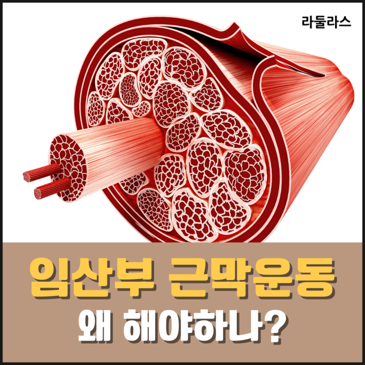 임산부 근막(Fascia)운동 왜 해야하나? : 네이버 블로그