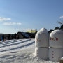 겨울에아이들과가볼만한곳, 경기도 가볼만한곳:안성팜랜드 눈썰매장