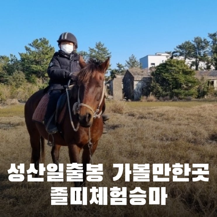 성산일출봉 광치기해변 유채꽃밭 체험승마, 졸띠승마장...