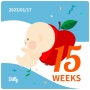 임신15주 : 일상