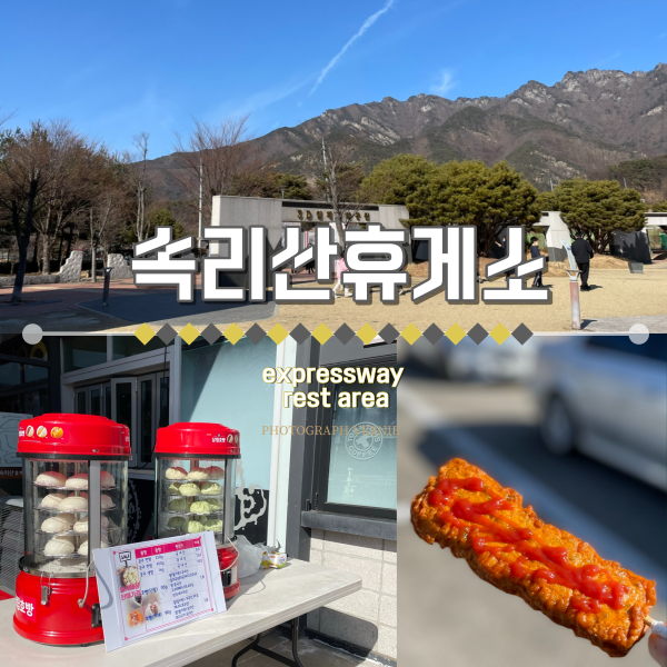 속리산 휴게소 : 당진 영덕 고속도로 3D 벽화공원 포토존과 정이품송 후계목 : 네이버 블로그