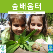 청소년 야외 환경활동, 숲배움터(LEAF)에 대해 알아보자!