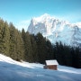 [스위스 여행] 겨울 왕국 그린델발트 Grindelwald