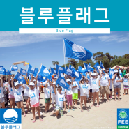 친환경 해수욕장 인증, 블루플래그(Blue Flag)에 대해 알아보자!