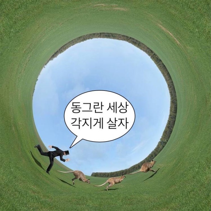 내가 쓰려고 찾은 핀터레스트 짤 모음2 : 네이버 블로그