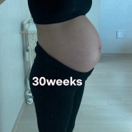 임신 8개월 기록 : 29주차, 30주차, 31주차, 32주차 / 배크기, 고지혈증, 백일해주사, 산전마사지
