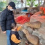 오산 아이랑 가볼만한 곳:) 실내 동물체험 "오산버드파크"